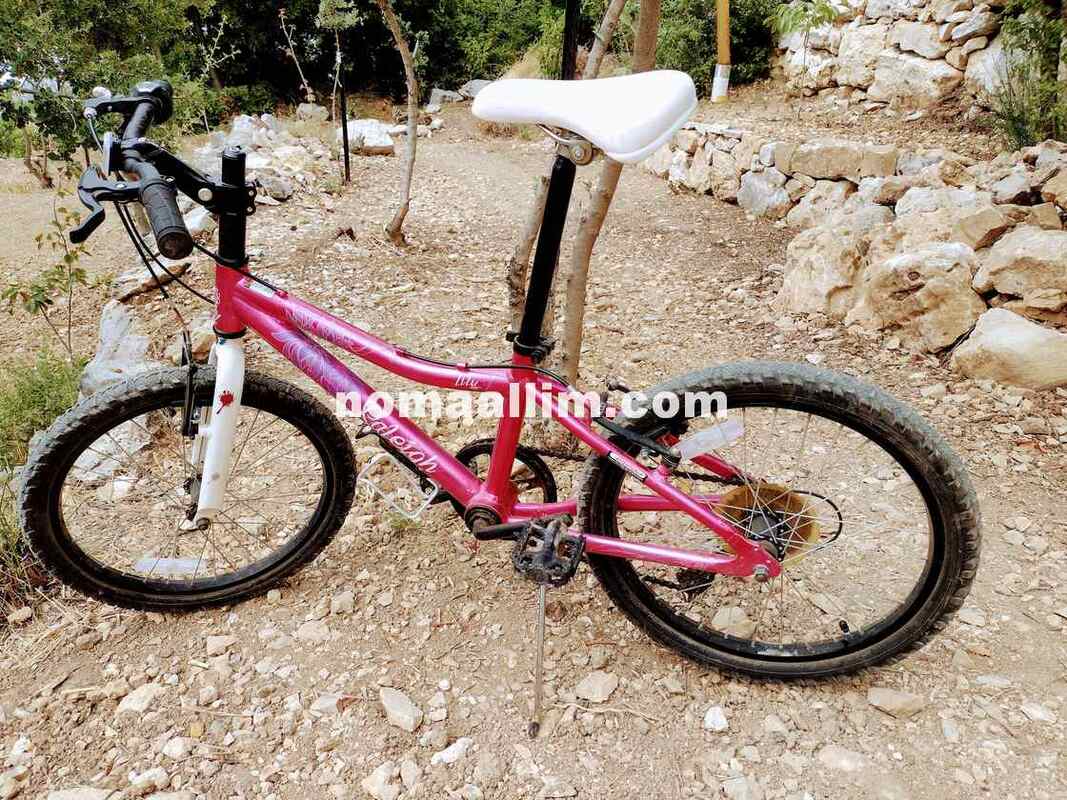 Modified kids bike for adults